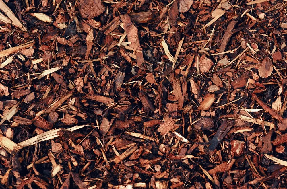 Bark mulch.