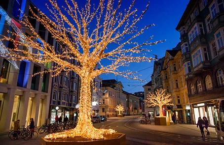 Trees wrapped in lit holiday lights in business area.