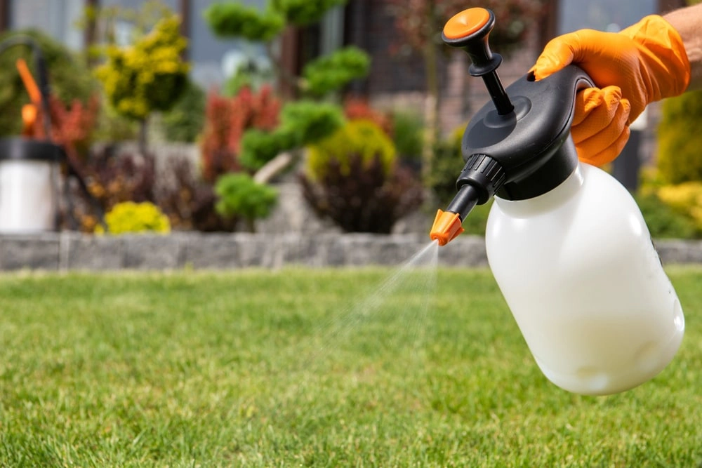 Landscaper spraying preventative herbicide on grass