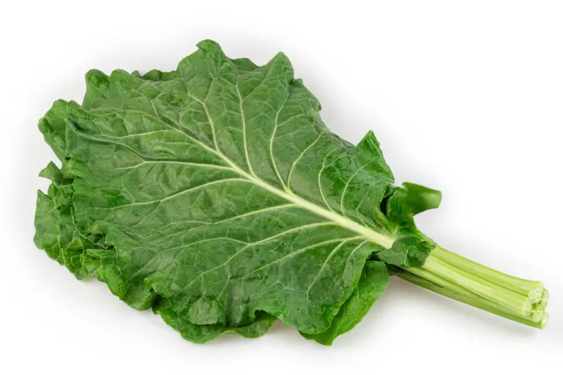 Kale leaves