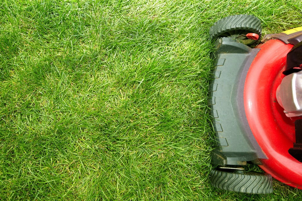 Lawn mower on grass