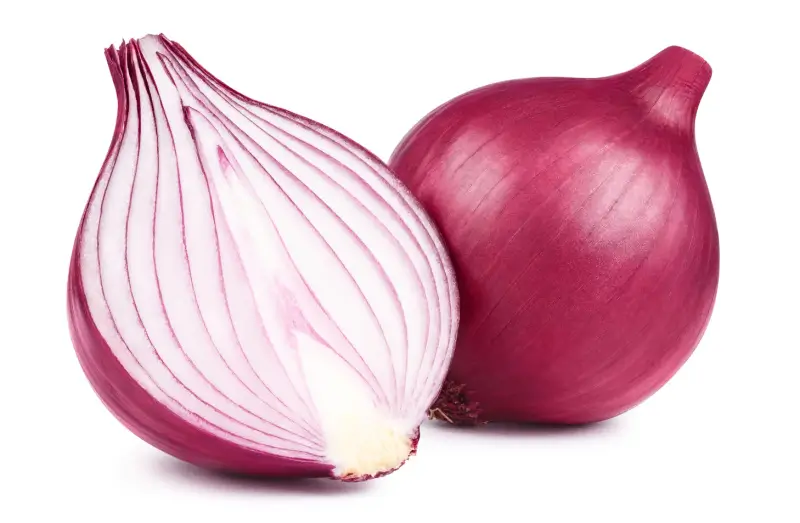 Onion