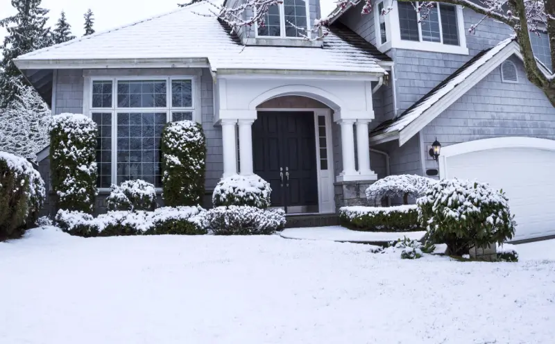 Residential front yard in the winter