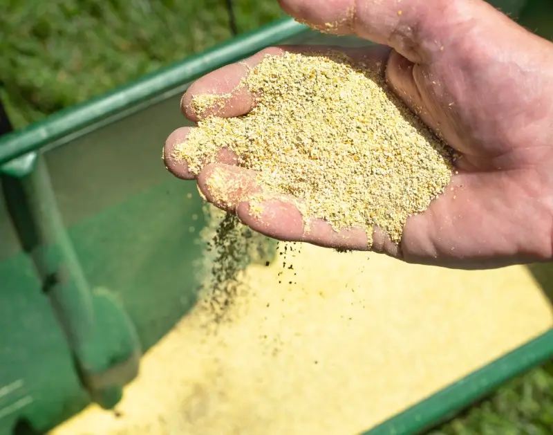 Landscaper pouring granular herbicide into spreader.