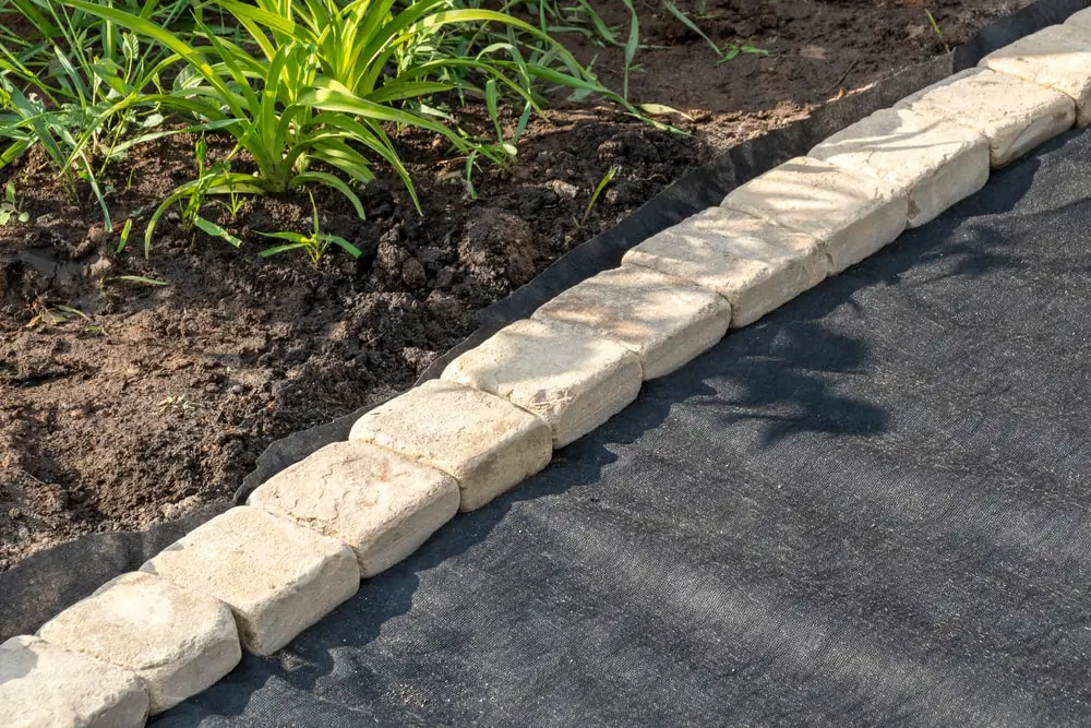 Landscape fabric laid in a garden bed.