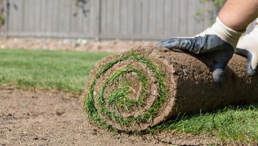 Person wearing white garden gloves rolling out sod for a new lawn.