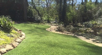 Residential turf in backyard.