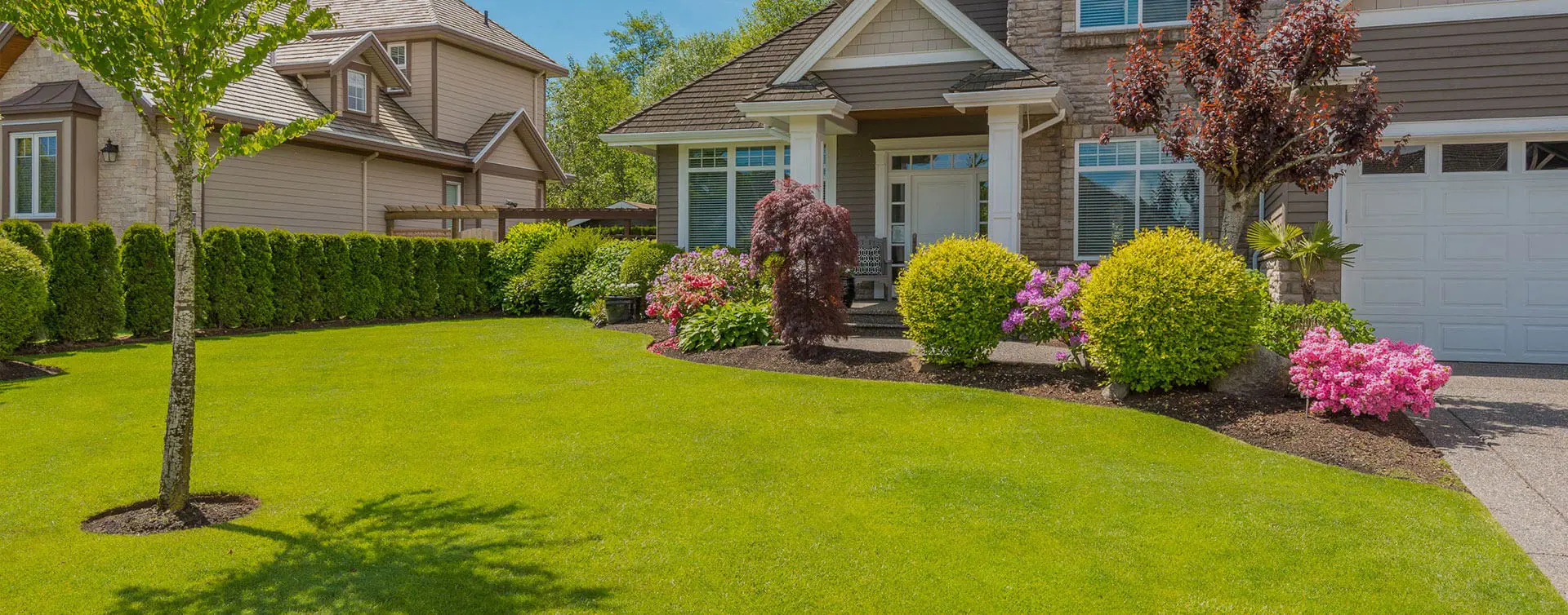 Residential front lawn