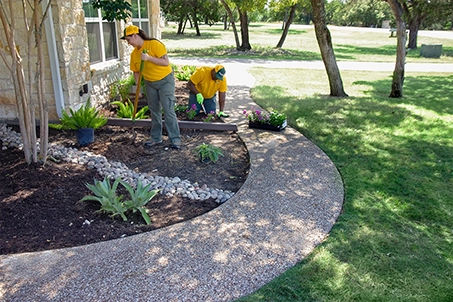 two grounds guys workers planting shrubs around house