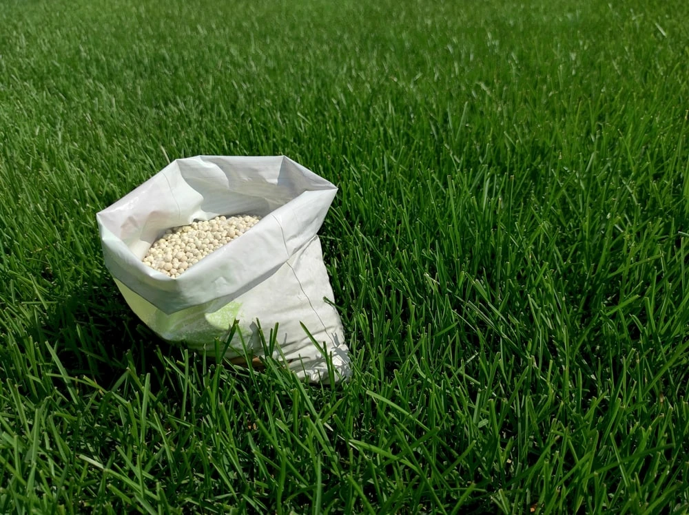 Organic Fertilizer in Bag