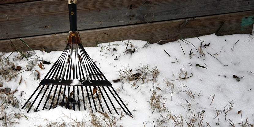 Rake in the snow.